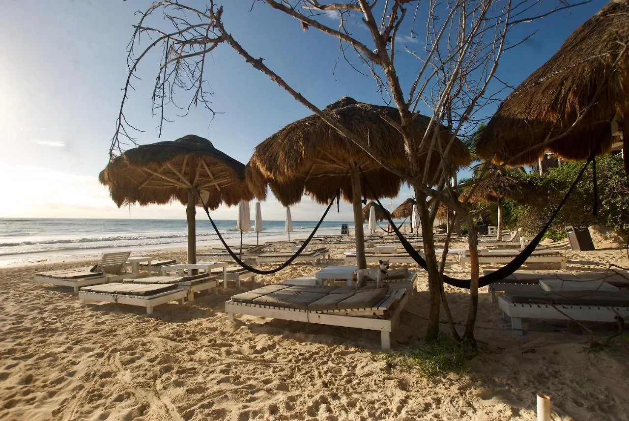 Hotel Zulum Tulum
