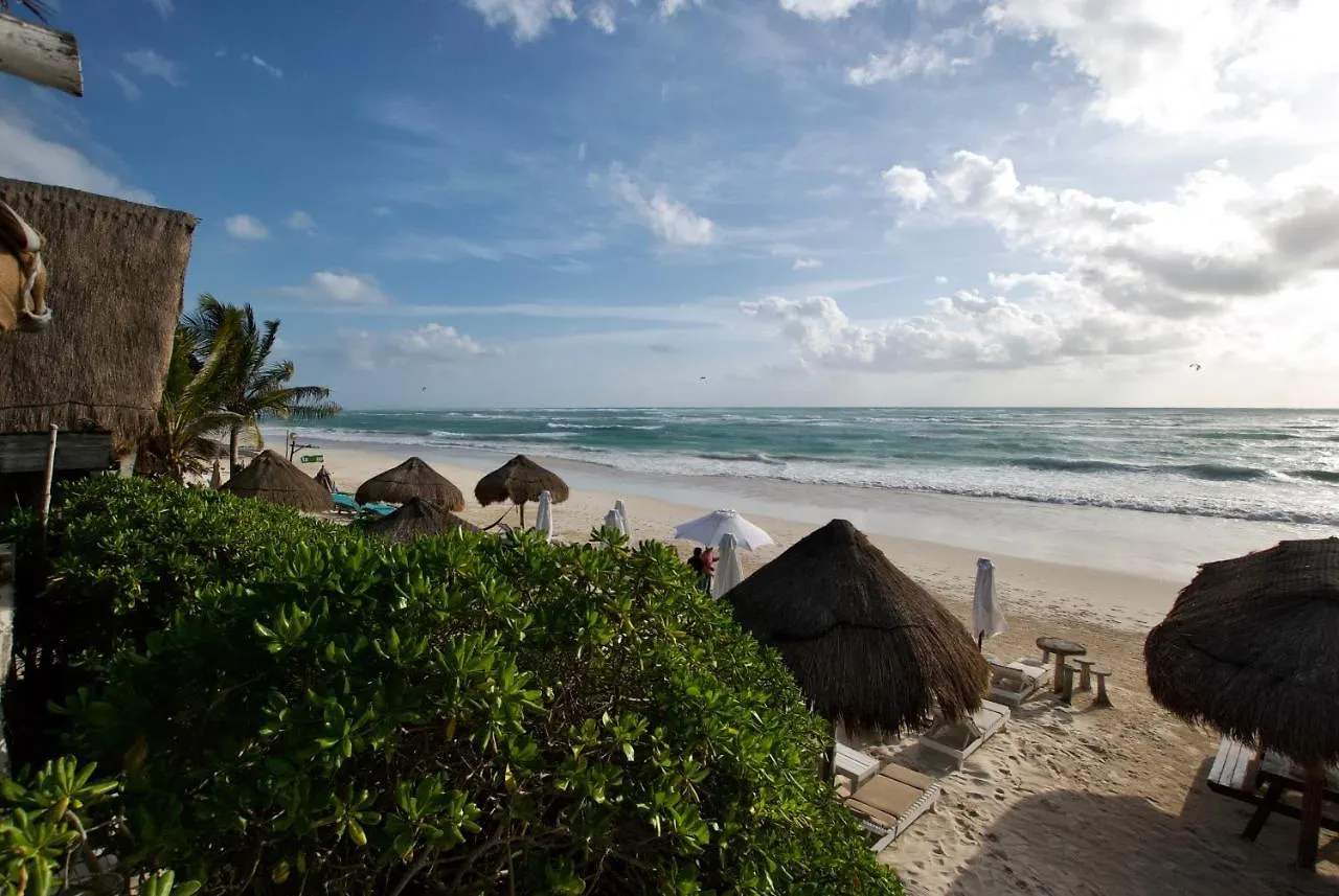 Hotel Zulum Tulum